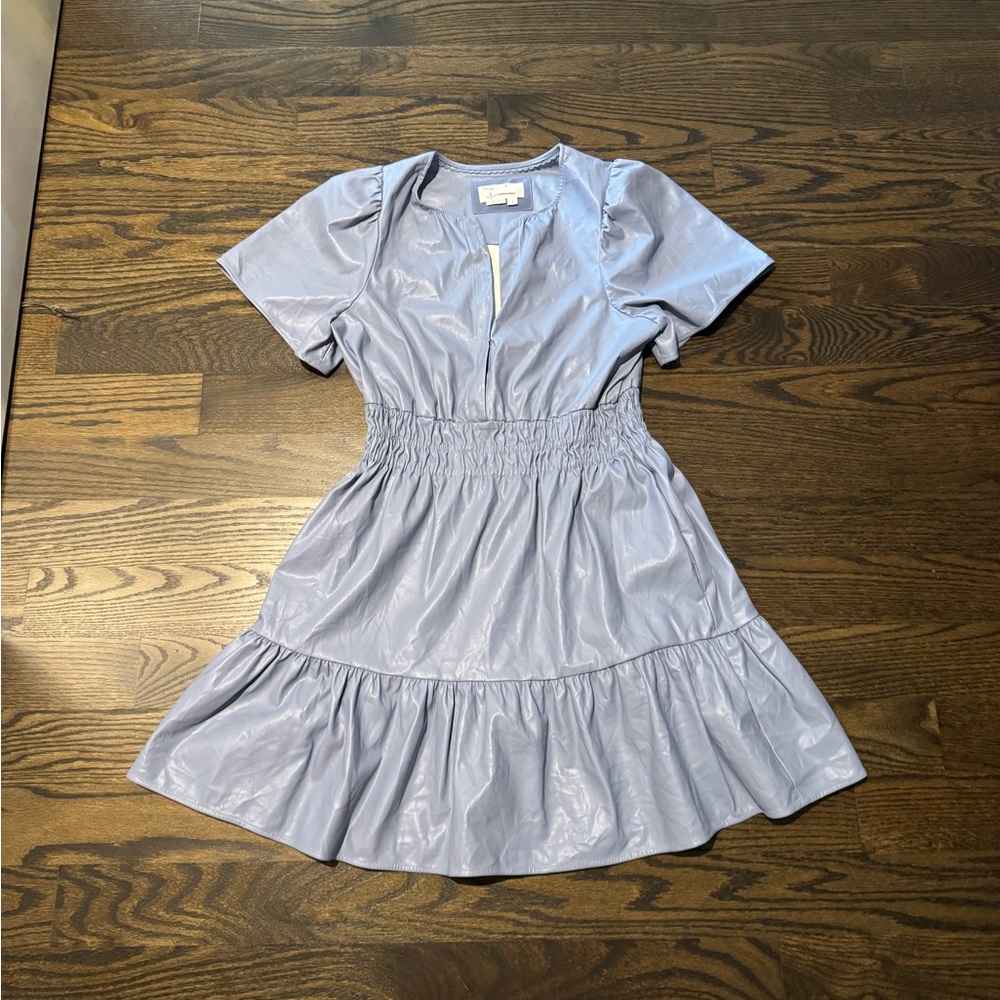 Anthropolgie Light Blue Short Sleeve Leather Dress